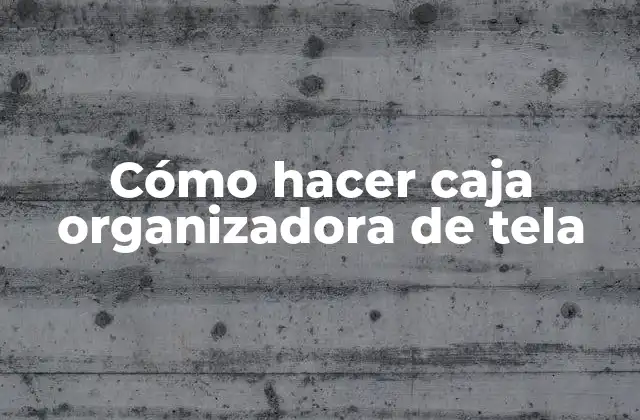 Cómo Hacer Caja Organizadora de Tela