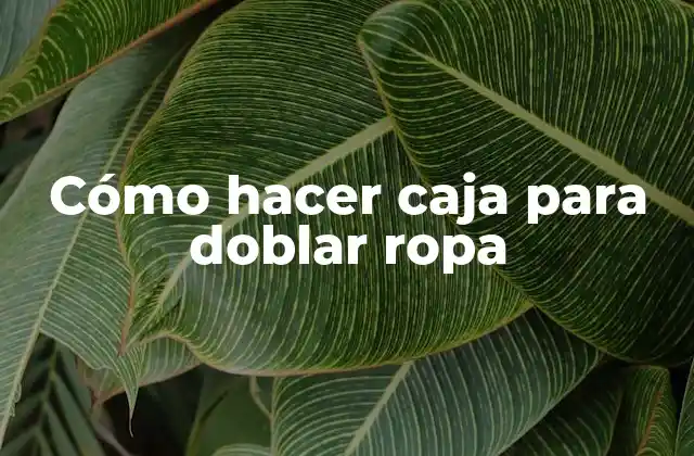 Cómo Hacer Caja para Doblar Ropa