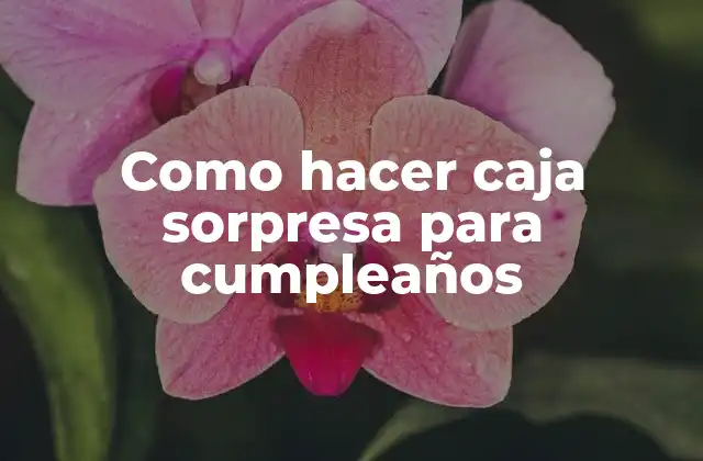 Como Hacer Caja Sorpresa para Cumpleaños