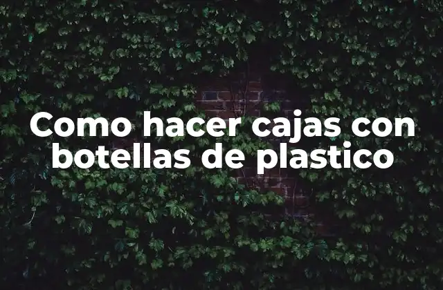 Como Hacer Cajas con Botellas de Plastico 2 Cajas con botellas de plástico