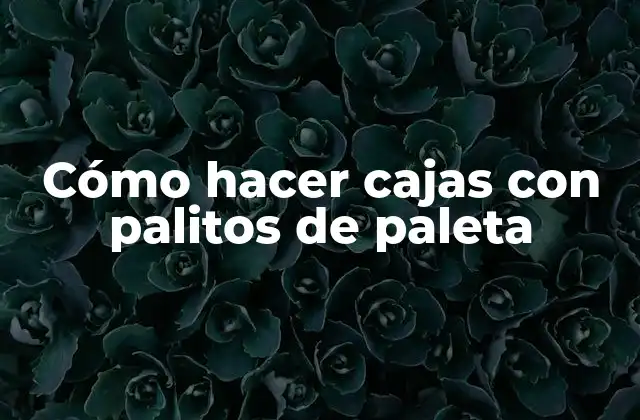 Cómo Hacer Cajas con Palitos de Paleta