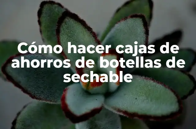 Cómo Hacer Cajas de Ahorros de Botellas de Sechable