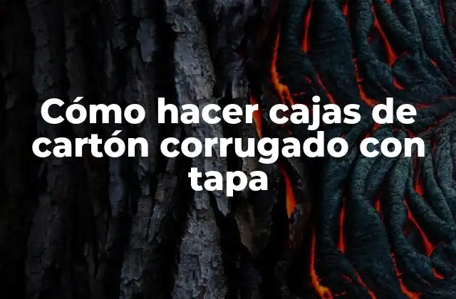 Cómo Hacer Cajas de Cartón Corrugado con Tapa
