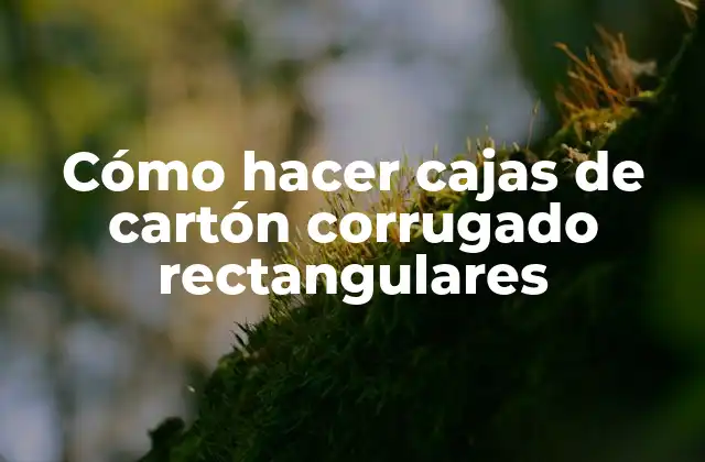 Cómo Hacer Cajas de Cartón Corrugado Rectangulares