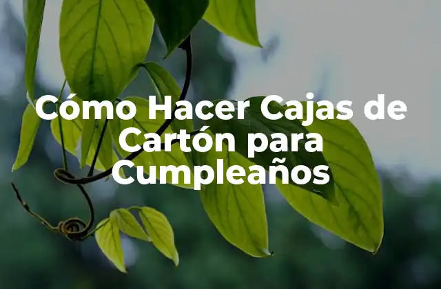 Cómo Hacer Cajas de Cartón para Cumpleaños