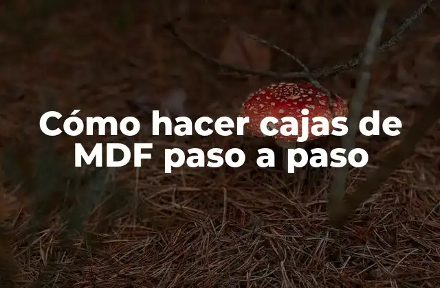 Cómo Hacer Cajas de Mdf Paso a Paso