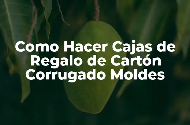 Como Hacer Cajas de Regalo de Cartón Corrugado Moldes