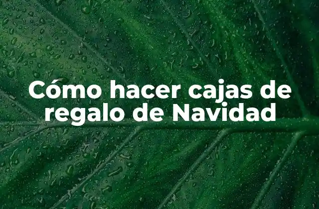 Cómo Hacer Cajas de Regalo de Navidad 2 Cómo hacer cajas de regalo de Navidad