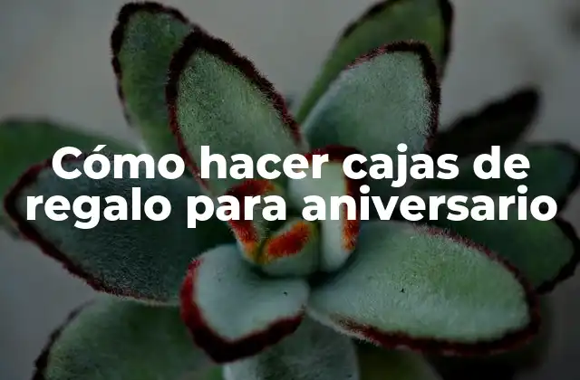 Cómo Hacer Cajas de Regalo para Aniversario