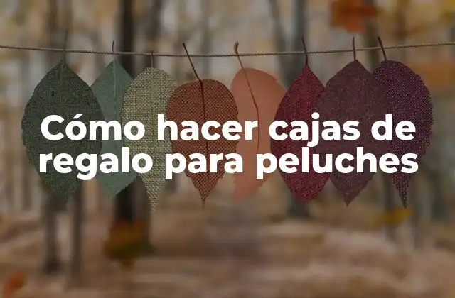 Cómo Hacer Cajas de Regalo para Peluches