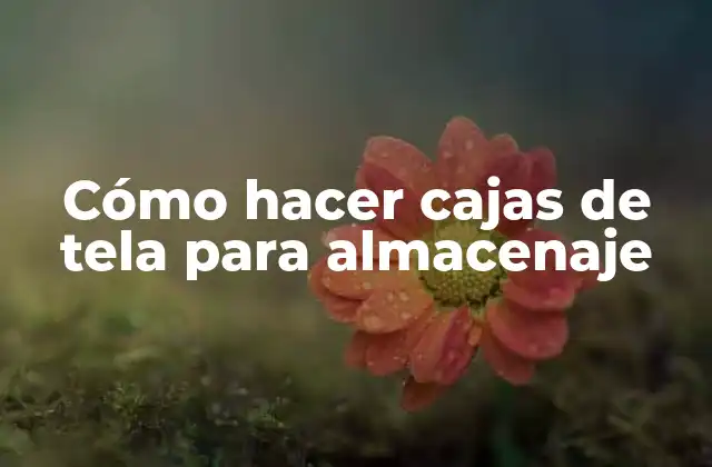 Cómo Hacer Cajas de Tela para Almacenaje