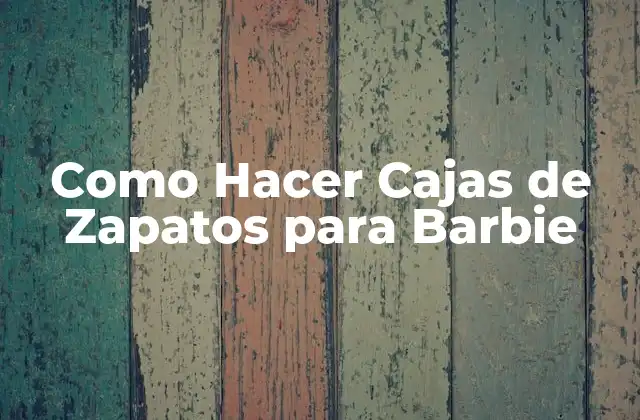 Como Hacer Cajas de Zapatos para Barbie
