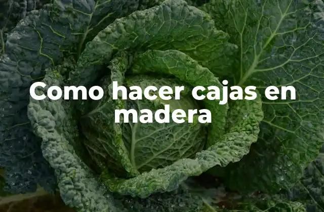 Como hacer cajas en madera