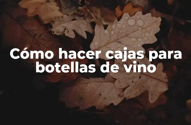 Cómo Hacer Cajas para Botellas de Vino
