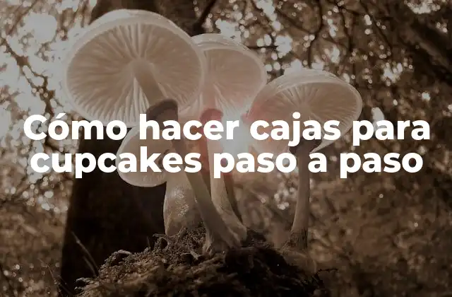 Cajas para cupcakes: ¿Qué son y para qué sirven?