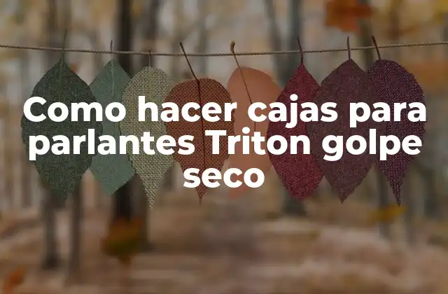 Como Hacer Cajas para Parlantes Triton Golpe Seco 2 Cajas para parlantes Triton golpe seco