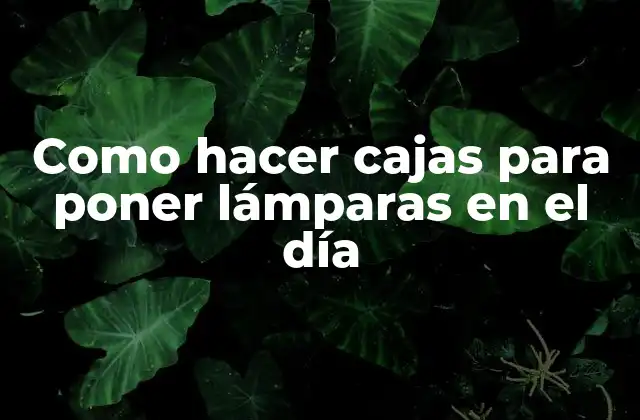Como Hacer Cajas para Poner Lámparas en el Día