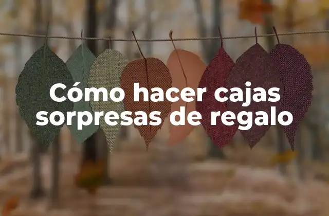 Cómo Hacer Cajas Sorpresas de Regalo
