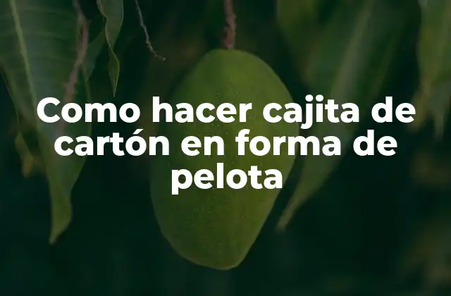Como Hacer Cajita de Cartón en Forma de Pelota