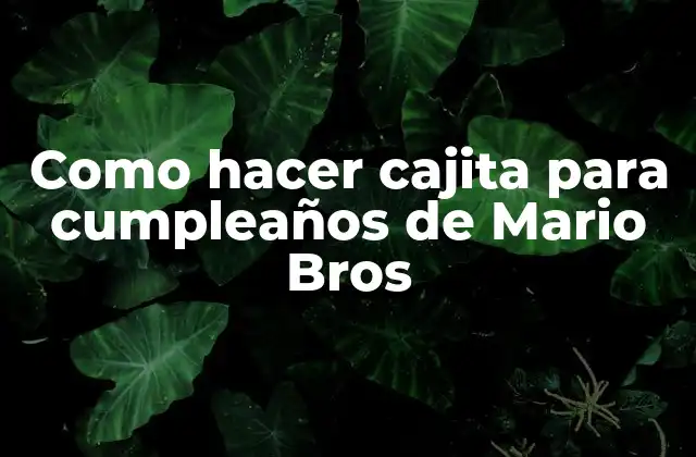 Como Hacer Cajita para Cumpleaños de Mario Bros