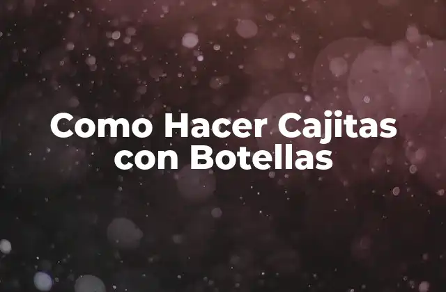 Como Hacer Cajitas con Botellas