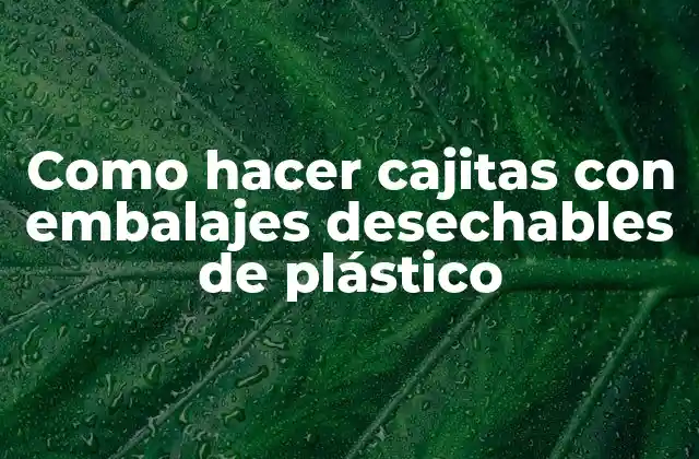 Como Hacer Cajitas con Embalajes Desechables de Plástico