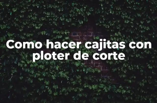 Como Hacer Cajitas con Ploter de Corte 2 Como hacer cajitas con ploter de corte