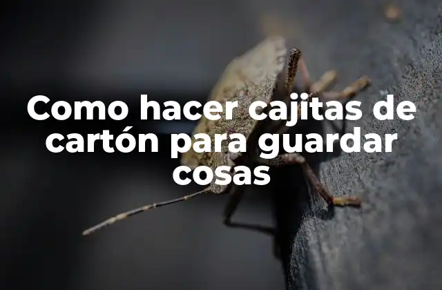 Como Hacer Cajitas de Cartón para Guardar Cosas
