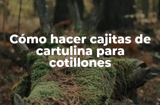 Cómo Hacer Cajitas de Cartulina para Cotillones 2 Cómo hacer cajitas de cartulina para cotillones