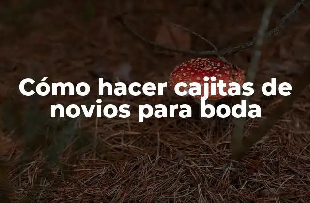 Cómo Hacer Cajitas de Novios para Boda
