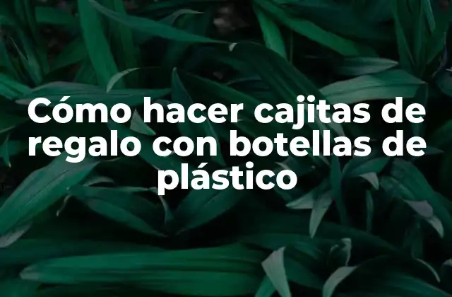 Cómo Hacer Cajitas de Regalo con Botellas de Plástico