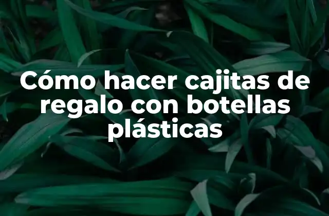 Cómo Hacer Cajitas de Regalo con Botellas Plásticas