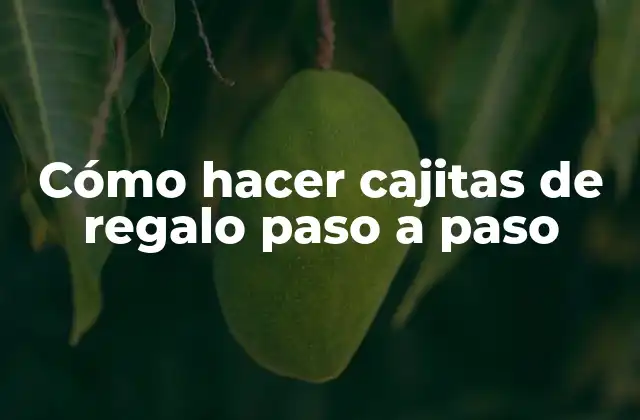 Cómo Hacer Cajitas de Regalo Paso a Paso 2 Cómo hacer cajitas de regalo