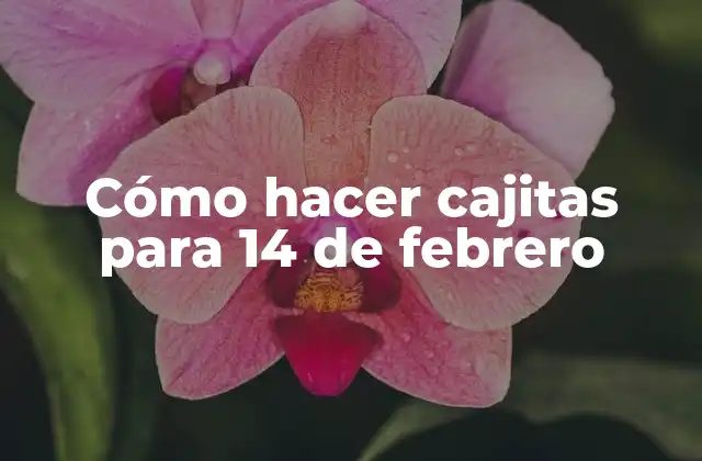 Cómo Hacer Cajitas para 14 de Febrero
