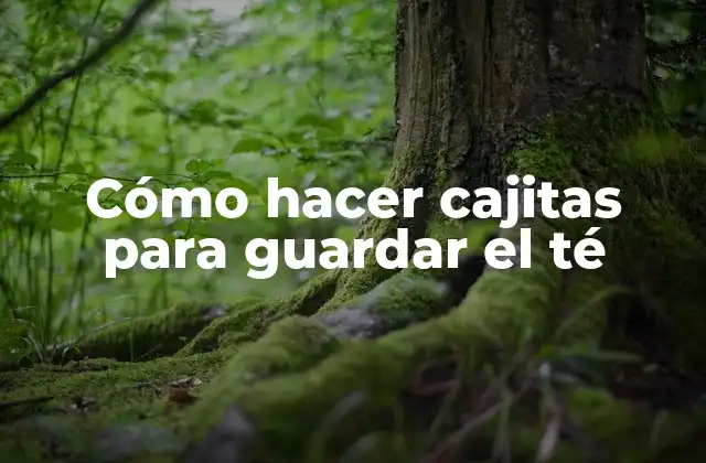 Cómo hacer cajitas para guardar el té
