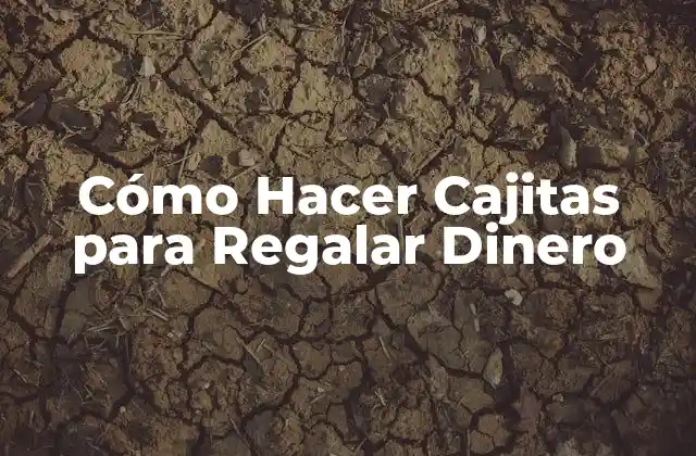 Cómo Hacer Cajitas para Regalar Dinero