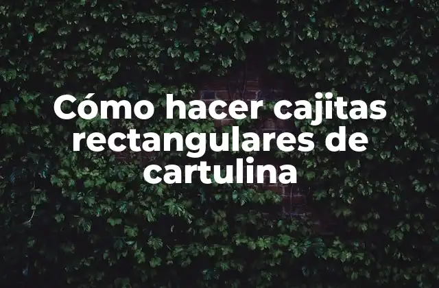 Cómo Hacer Cajitas Rectangulares de Cartulina