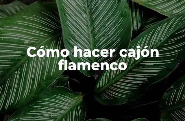 ¿Qué es un cajón flamenco y para qué sirve?