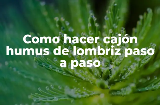Como Hacer Cajón Humus de Lombriz Paso a Paso
