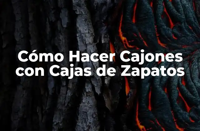 Cómo Hacer Cajones con Cajas de Zapatos 2 Cómo Hacer Cajones con Cajas de Zapatos