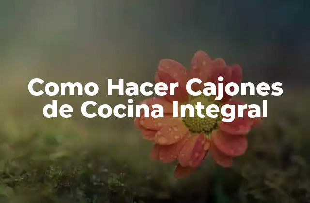 Como Hacer Cajones de Cocina Integral
