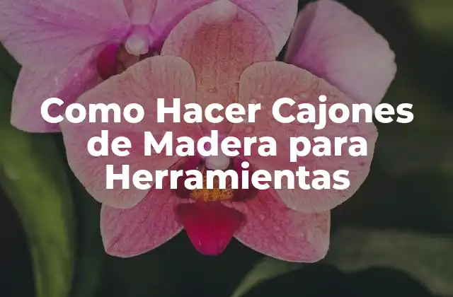Como Hacer Cajones de Madera para Herramientas 2 Cajones de Madera para Herramientas
