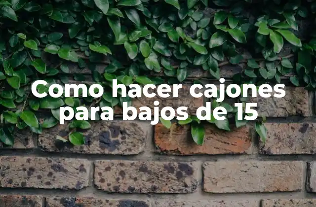 Como Hacer Cajones para Bajos de 15