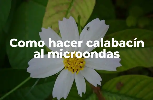 Como Hacer Calabacín Al Microondas
