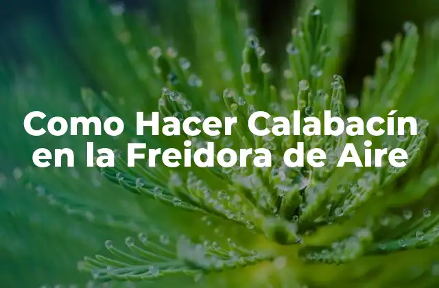 Como Hacer Calabacín en la Freidora de Aire