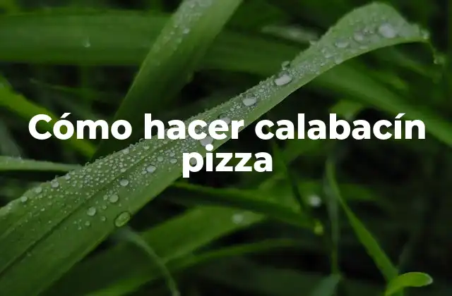 Cómo Hacer Calabacín Pizza