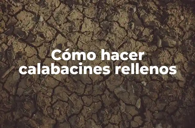 Cómo Hacer Calabacines Rellenos