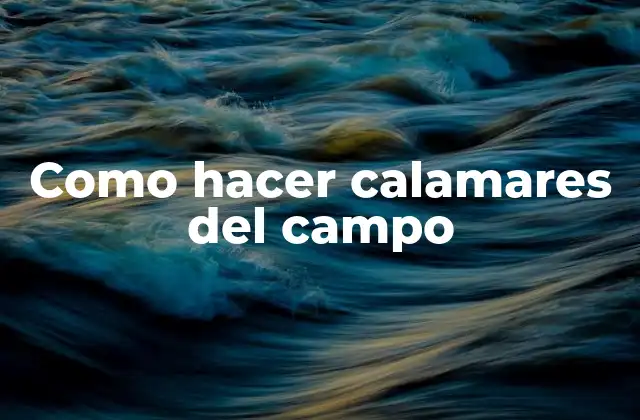 Como Hacer Calamares Del Campo