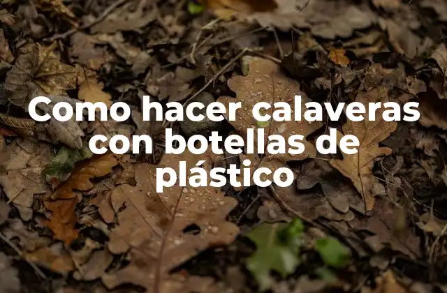 Como Hacer Calaveras con Botellas de Plástico