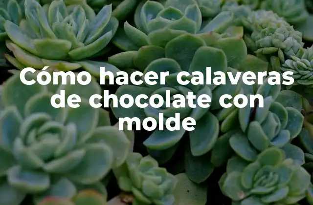 Cómo Hacer Calaveras de Chocolate con Molde